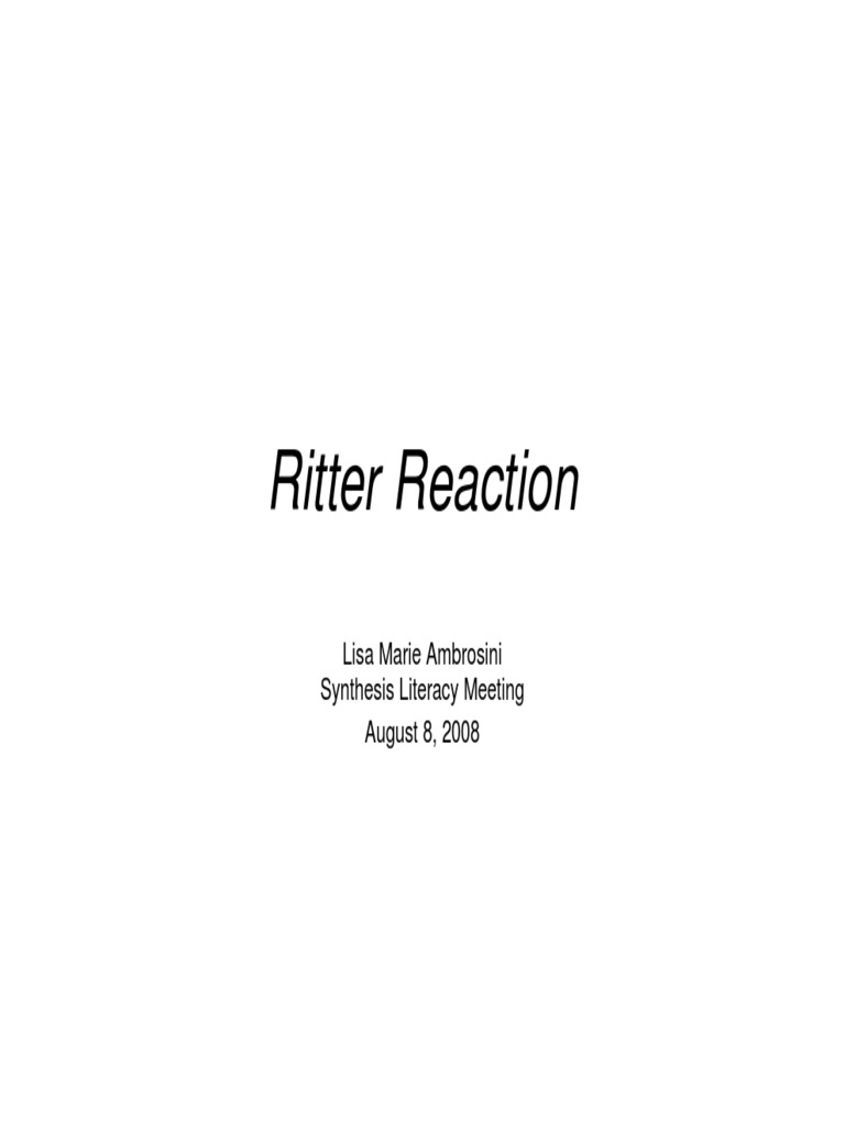 2008 08 08-LAmbrosini-Ritter | PDF | Chemical Reactions | Change