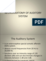 Neuroanatomy of Auditory System