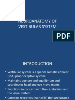 Neuroanatomy of Vestibular System