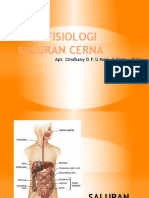 Patofisiologi Saluran Cerna