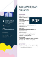 Mohamad Iwan Suhandi: Experience