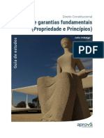 direitos-e-garantias-fundamentais-propriedade-e-principios-videoaula-3