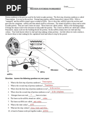 protein-synthesis-worksheet-pdf-translation-biology-messenger-rna