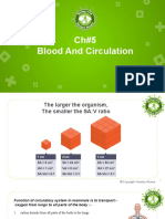 Ch#4 Blood and Circulation