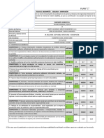 Ficha de Desempeño - Segunda Supervision