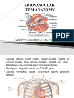 Anatomy CARDIOVASCULAR