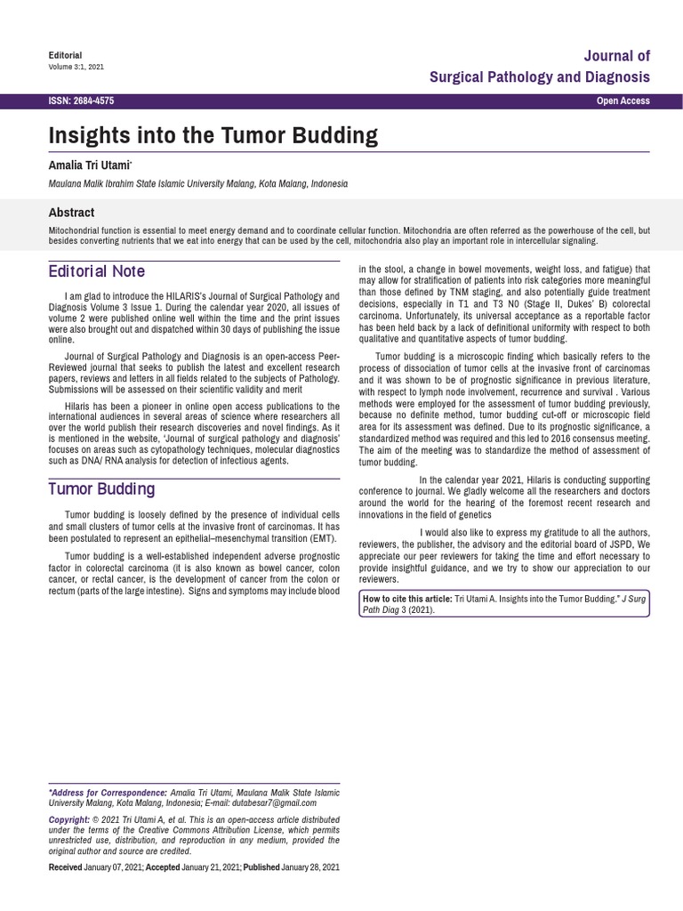Insights Into The Tumor Budding | PDF | Colorectal Cancer | Carcinoma