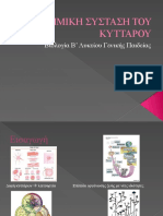 Systasi Kytaroy