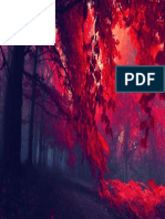 42 424597 - Floresta Escura HD Wallpaper Vermelho Rea de Trabalho