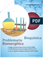 Problemario bioenergética