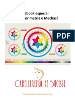 Ebook especial de Colorimetria e Mechas