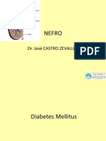 Nefropatia Diabetica en base a preguntas