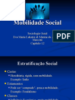 Mobilidade Social