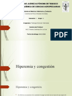 Hiperemia y Congestión