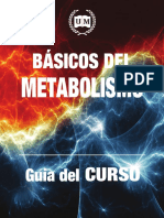 Guia Basicos Del Metabolismo