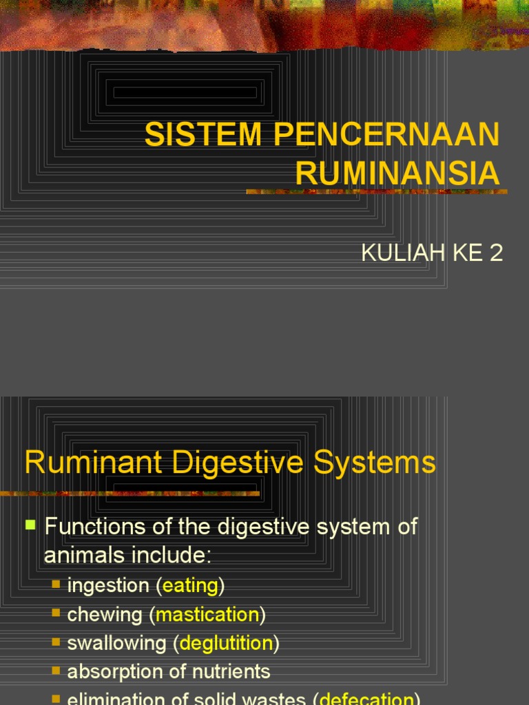 Ruminant Digestive System Overview | PDF | Ruminant | Human Digestive ...