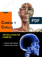 Cabeza y Cuello