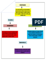 Mapa Conceptual