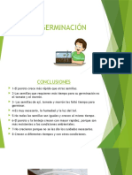 PPT. Proceso Germinación