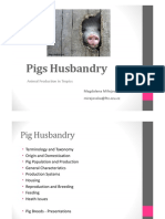 5. Pig Husbandry 2020