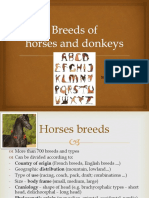 Horses and Donkeys Breeds and Colours 2020 Reduced