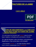 c2. Fractures de La Jambe