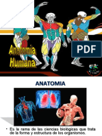 Presentación Clase 2 Anatomia