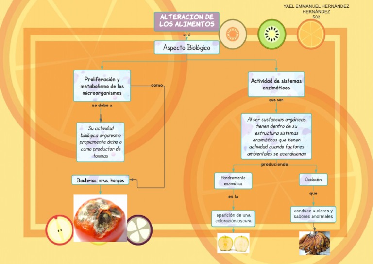 Alteracion de Los Alimentos | PDF