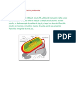 celula prokariota recapitulare