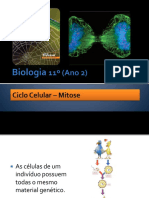 Ciclo celular e divisão celular