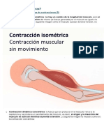 Cómo Se Trabaja La Fuerza Fisioterapia