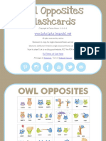 Owl Opposites: Flashcards