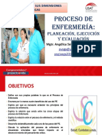 PDF Proceso de Enfermeria Planeacionejecucion y Evaluacion DD