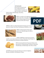 Productos Agrícolas de Guatemala