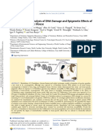 Population-Based Analysis of DNA Damage and Epigenetic E Ffects of 1,3-Butadiene in The Mouse