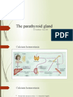 The Parathyroid Gland: DR - Umalkhayr Omar, MD