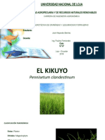 El kikuyo (Pennisetum clandestinum Hochst. ex Chiov.), una gramínea forrajera de origen africano