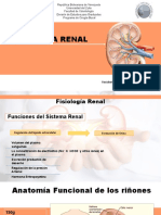 Fisiologia Renal