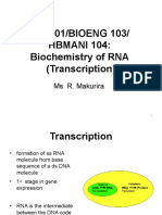 NS 101-Biochem of Rna