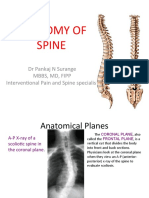 Anatomy of Spine: DR Pankaj N Surange MBBS, MD, Fipp Interventional Pain and Spine Specialist