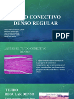 Tejido Conectivo