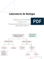 Practica 10 Transporte A Traves de Menmbranas