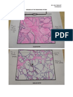 ENDOCRINE patho