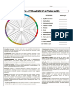 Roda Da Vida Autoavaliação 1