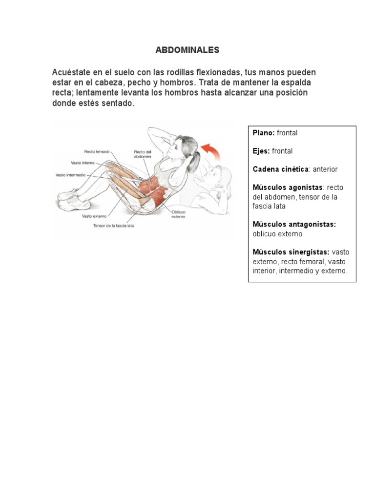 Ejercicios Zona Media | PDF | Abdomen | Músculo