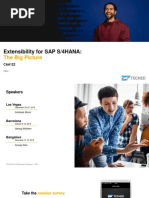 Extensibility For SAP S:4HANA - The Big Picture