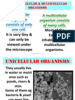 A Unicellular Organism Consists of Only One Cell