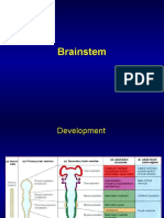A. Brainstem