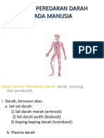 SISTEM PEREDARAN DARAH MANUSIA