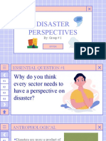 Disaster Perspectives